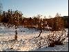 M4100030.jpg